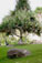 gardens3